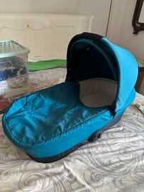 Navicella cybex melio