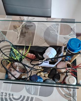 acquario creas completo di accessori e filtro 