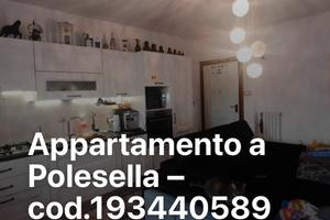 Vendita appartamento