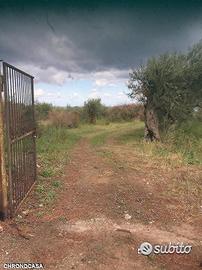 Terreno a Spartà rif. GIH-5021