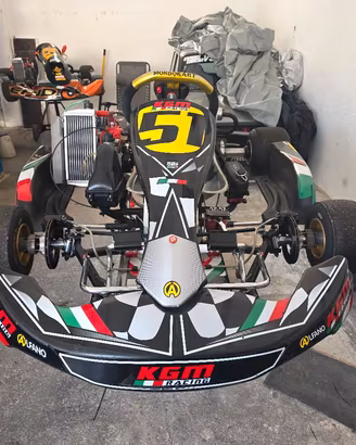 kart kz  motore  monomarcia rotax senior max evo