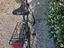 Immagine 4