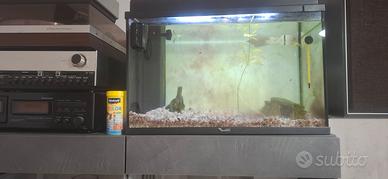 acquario 55 litri compreso di tutti gli accessori 