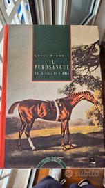Il Purosangue Luigi Gianoli Tre Secoli di Storia