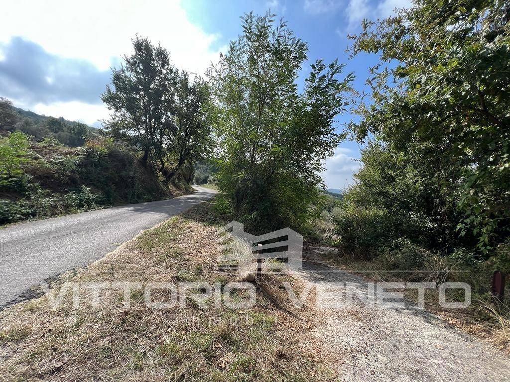 Terreno di 15903 m² a Laureana Cilento - Altro