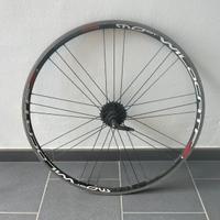 Cerchi campagnolo