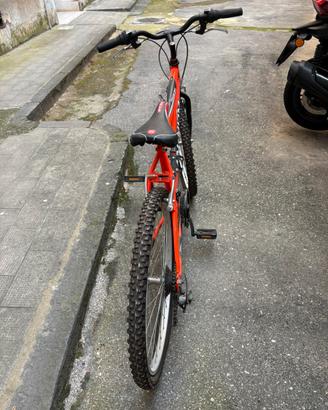Bicicletta