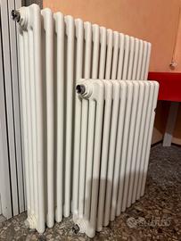 Termosifone radiatore irsap