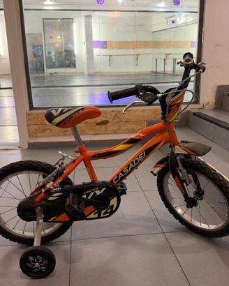 Bicicletta Casadei Vortex VX 14 per bambini 4-7