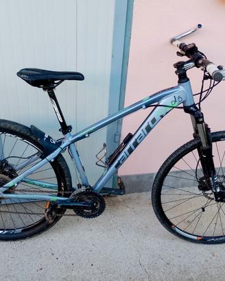 Bicicletta bici da trekking