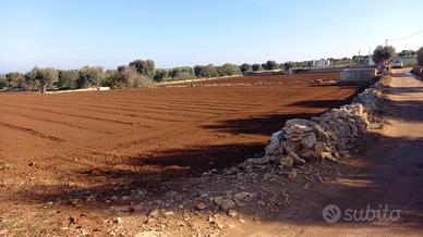 Terreno agricolo a 2 km da Polignano a mare