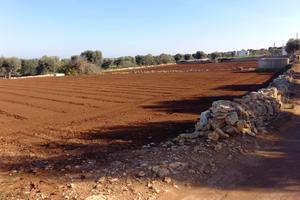 Terreno agricolo a 2 km da Polignano a mare