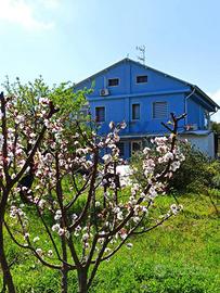 Villa singola - Melilli