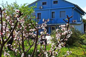 Villa singola - Melilli