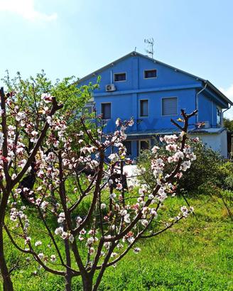 Villa singola - Melilli