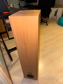 Infinity Primus 300