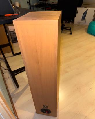 Infinity Primus 300
