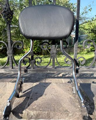 Portapacch sissy bar Harley Davidson 😉