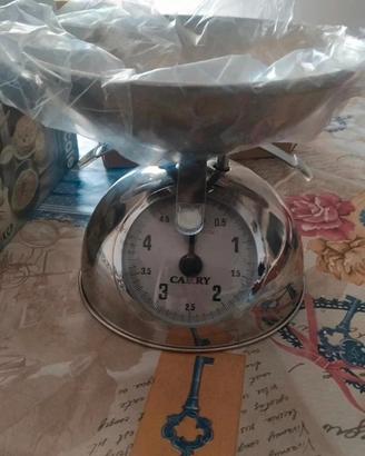 Bilancia da cucina in acciaio 