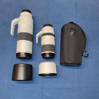 Canon RF 200-800 F6.3-9.0 IS USM Nuovo