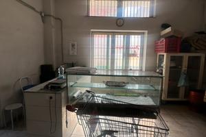 Locale commerciale 100mq