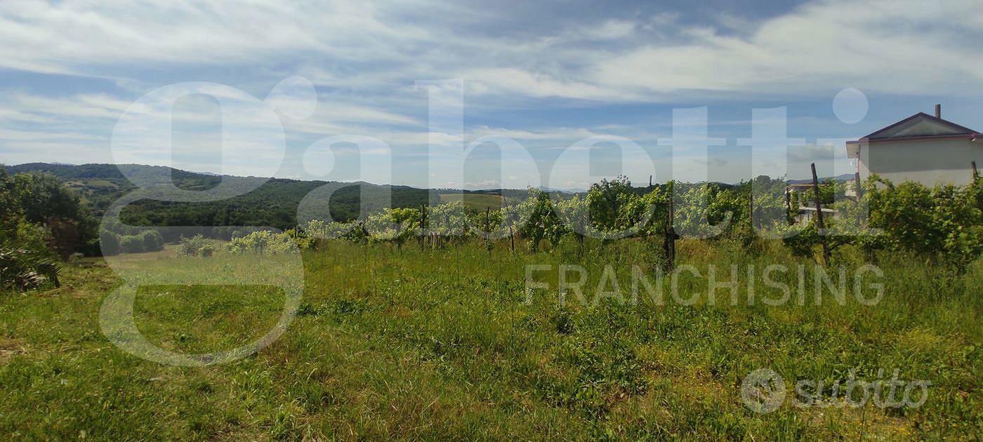 Terreno Agricolo Alife [Cod. rif 3159733VCG] - Vista 3