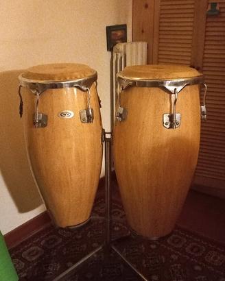 congas