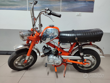 Mini bike benelli