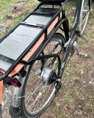 Bicicletta elettrica
