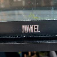 acquario marino 125 L