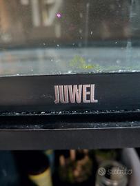 acquario marino 125 L