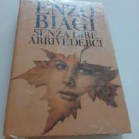 Senza dire arrivederci  enzo biagi