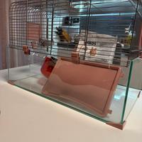 Gabbia criceto con accessori