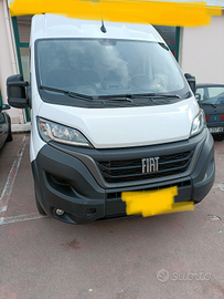 Ducato Professional