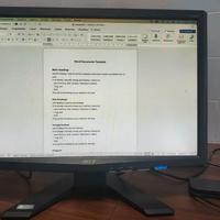 Monitor Acer AL1916W