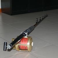 canna da pesca tonni