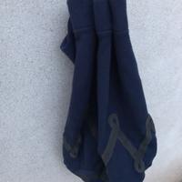 Sacca Jacques Esterel