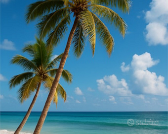 Acquisterei casa al mare