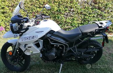 Triumph Tiger 800 - 2019