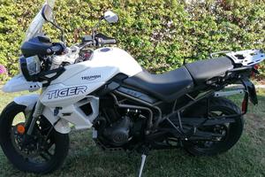 Triumph Tiger 800 - 2019