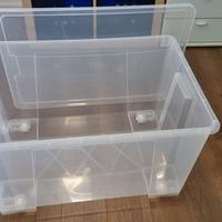 Box contenitore trasparente