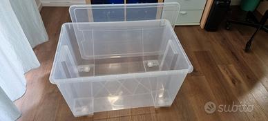 Box contenitore trasparente