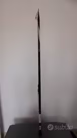 Bolognese daiwa amorphouse  Infinity r 7 metri