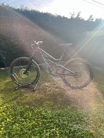 Canyon spectral al 5