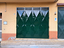 Immagine 5