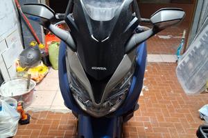 Honda forza 350 special