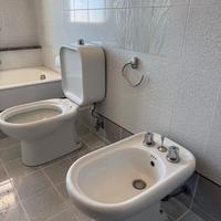 Coppia di Sanitari Cesame