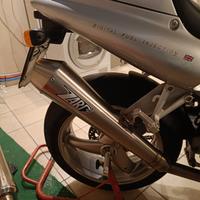 Zard Triumph Daytona 955