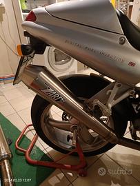 Zard Triumph Daytona 955