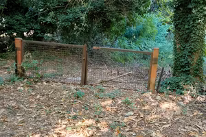 Terreno agricolo Vicchio  loc. campestri